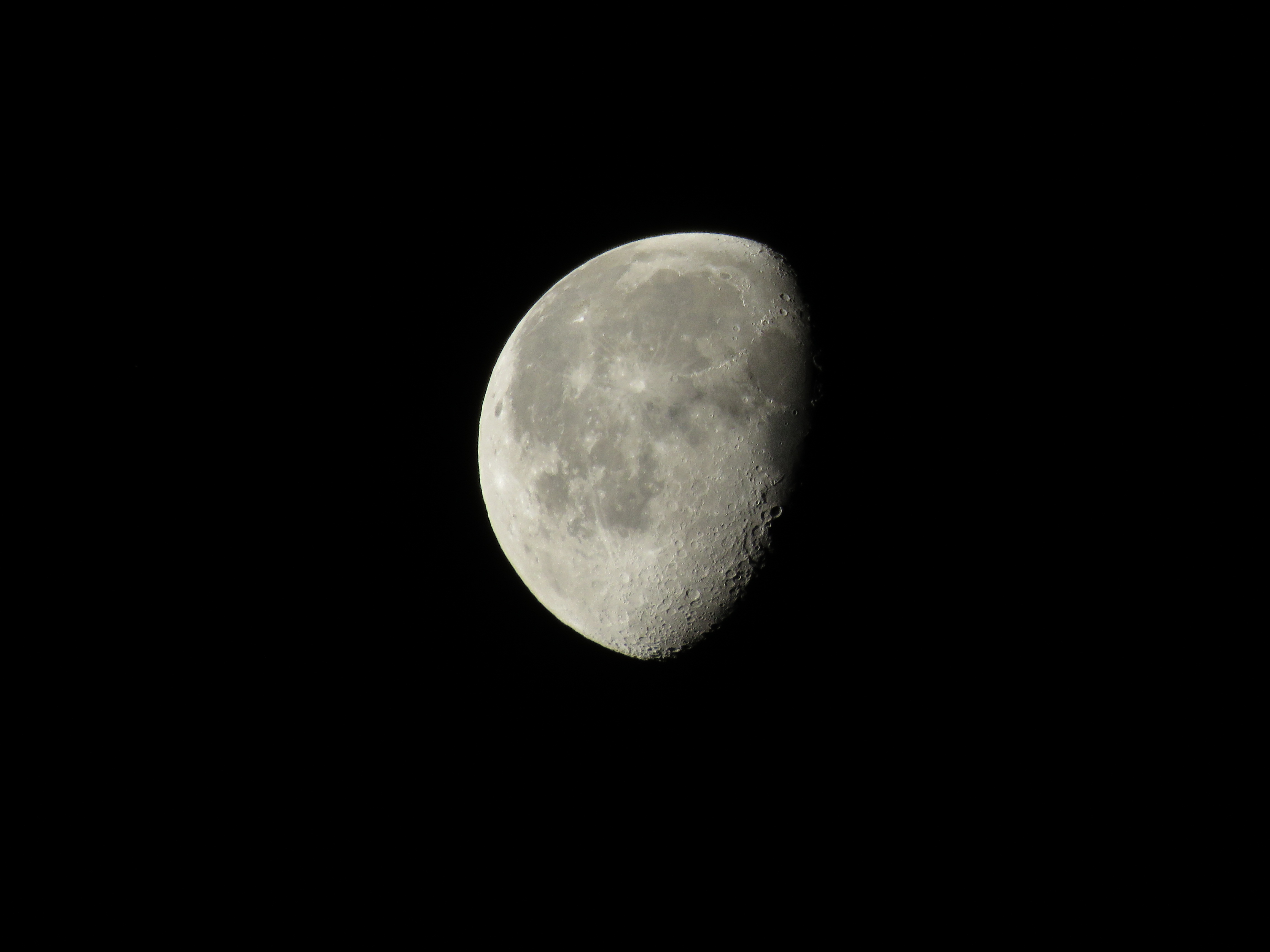 IMG_5554