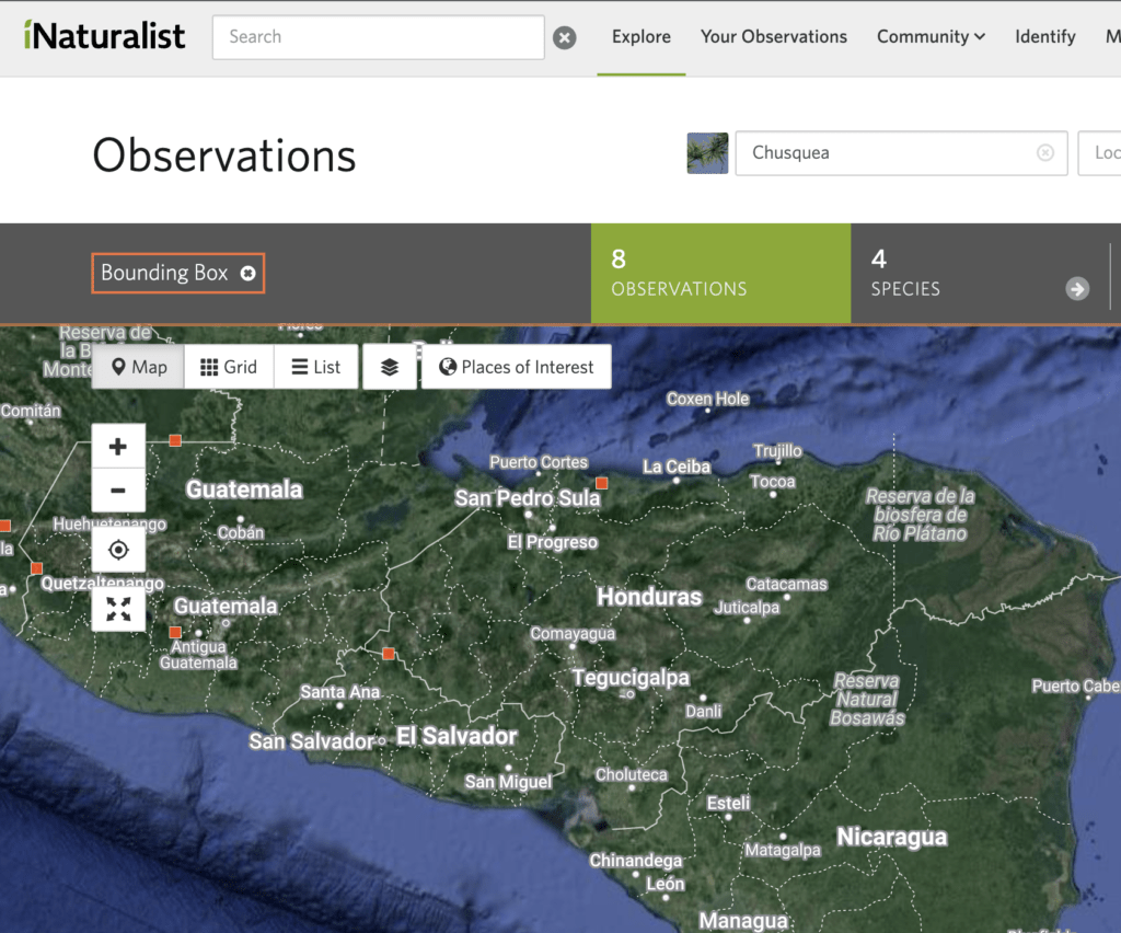 Desafortunadamente, existen pocos reportes de bambú Chusquea para Honduras en iNaturalist, pero pienso que esos serían buenos lugares para buscar Slaty Finch.