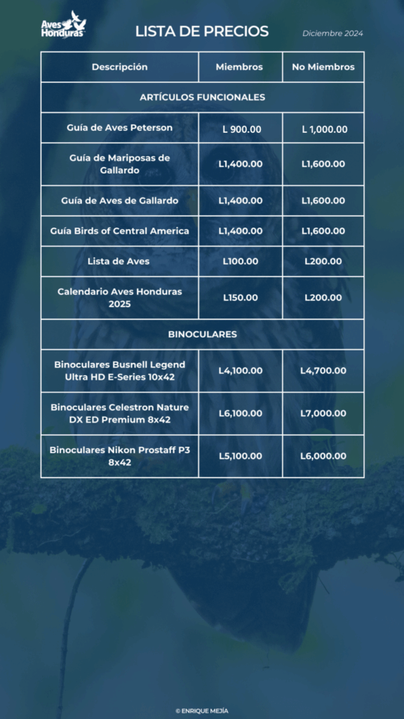 Lista precios promocionales 2