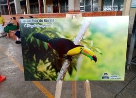Primer concurso escolar de dibujo “Aves de Omoa 2025”