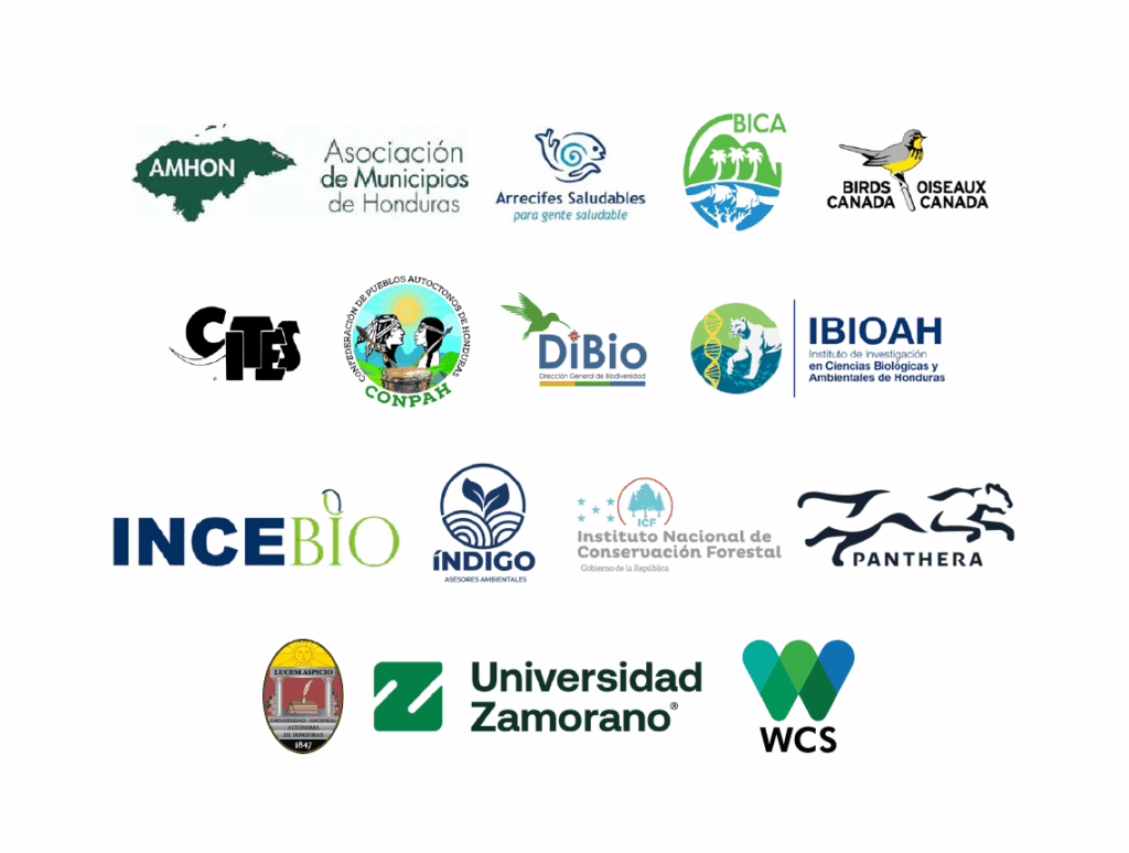 Logos expertos KBA