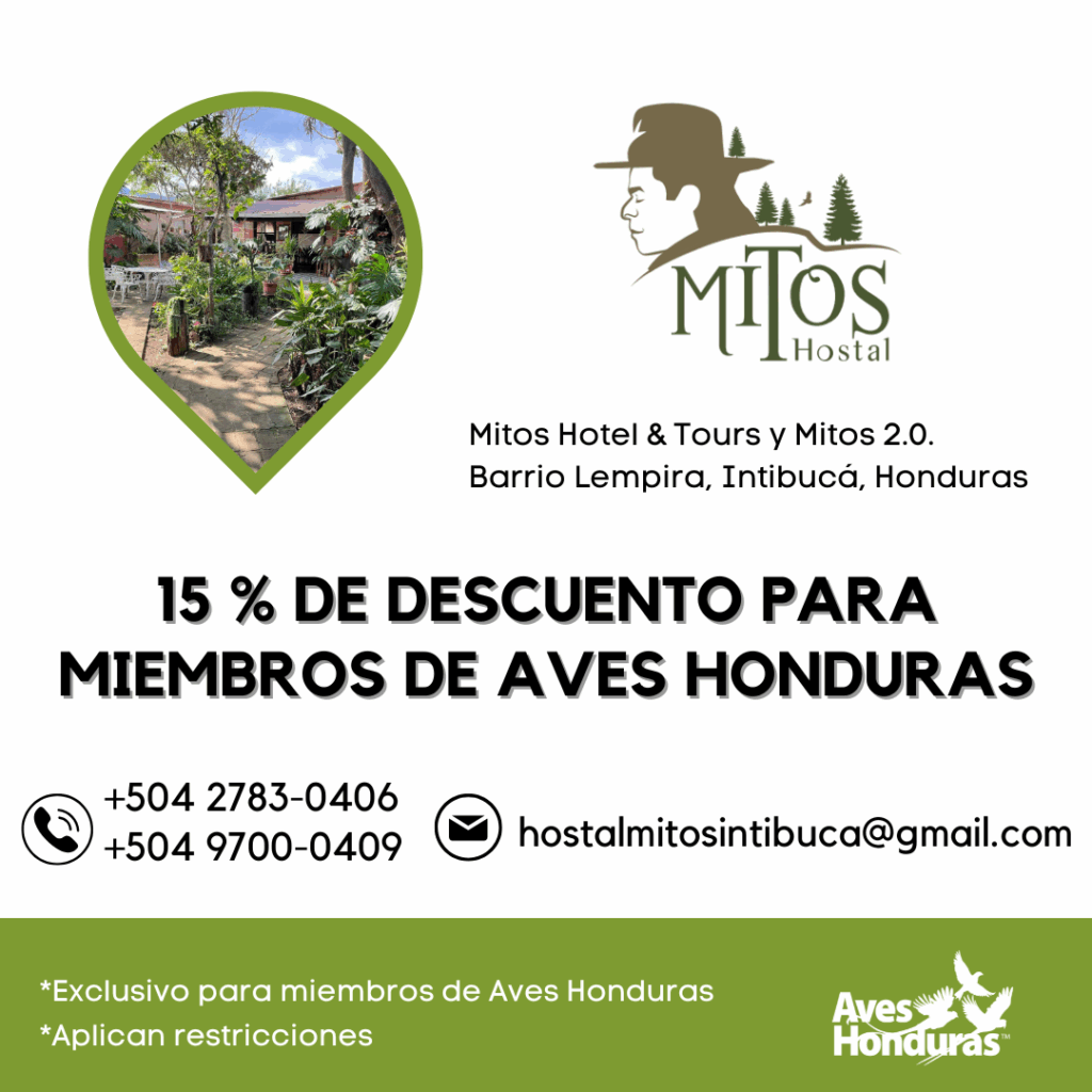 Mitos Hostal descuento