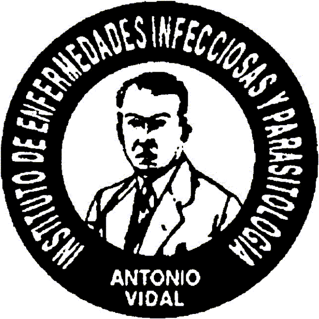 logoIAV - Instituto Antonio Vidal