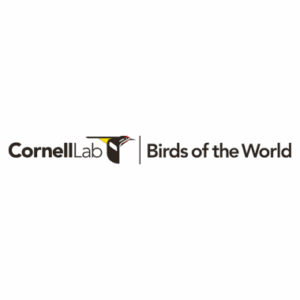 Birds of the world logo