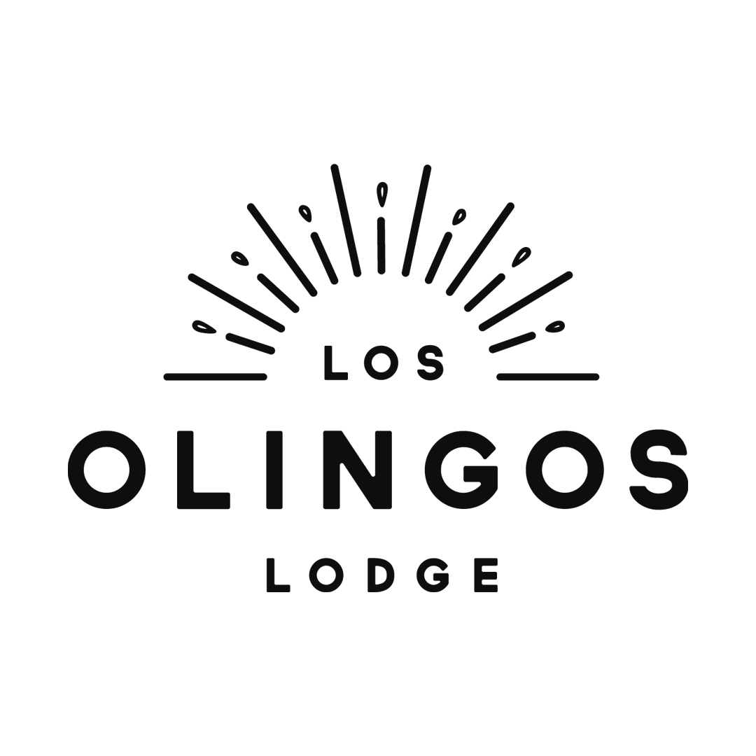 Los Olingos logo