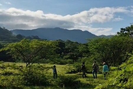 Bosque Tropical Seco, en estación lluviosa GMO