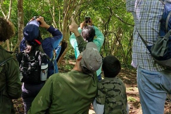 Grupo de observadores