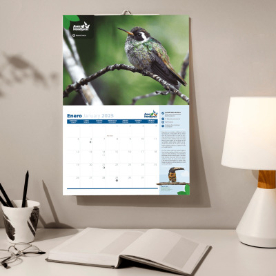 Calendario Aves Honduras 2025