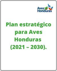 Plan estratégico para AvesHonduras (Asociación Hondureña de Ornitología) (2021 – 2030).