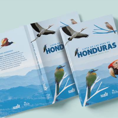 Lista de Aves de Honduras 2024