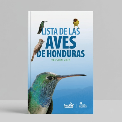 Lista de aves Montaje 2026