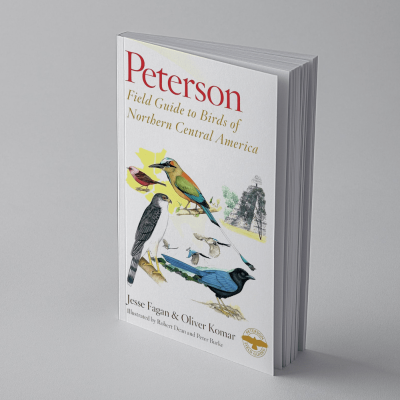 Libro de Peterson Jesse Fagan & Oliver Komar