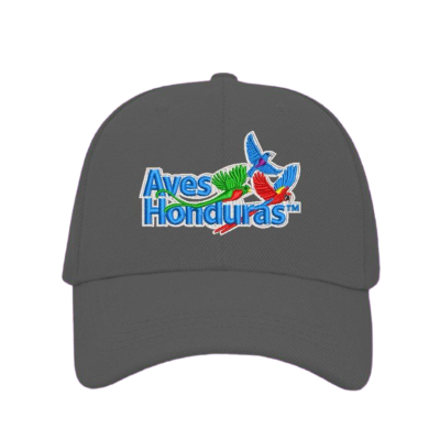 gorra nueva lona