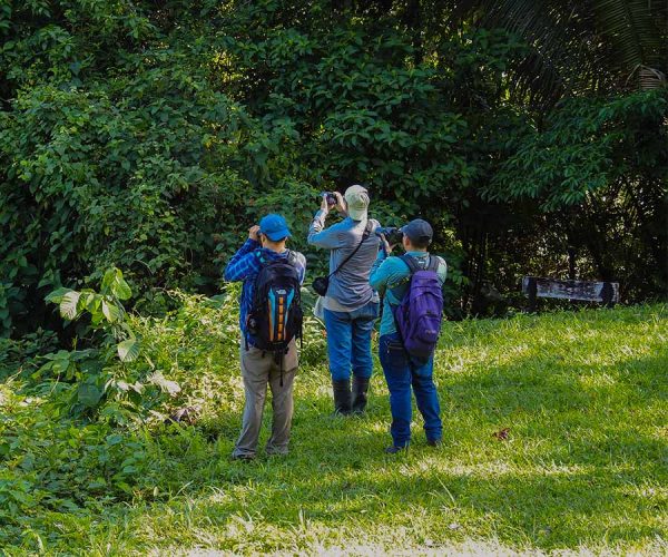 AvesHonduras-Observacion.docx