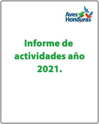 Boton para Informe Anual 2021