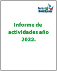 Botón para informe Anual 2022