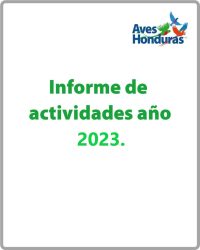 Boton-para-informe-Anual-2023