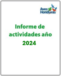 Informe 2024 boton