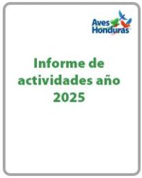 boton informe 2025 biblioteca